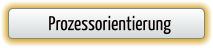 Prozessorientierung